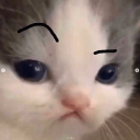 VaquuZ